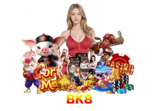 Read more about the article bk8