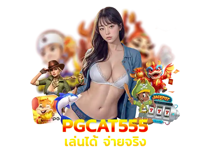pg cat555 ดีไหม 2026